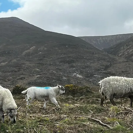 Atlantic Sea View Apartamento