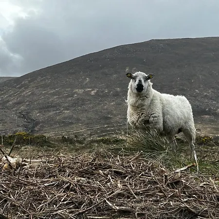 Atlantic Sea View Apartamento *