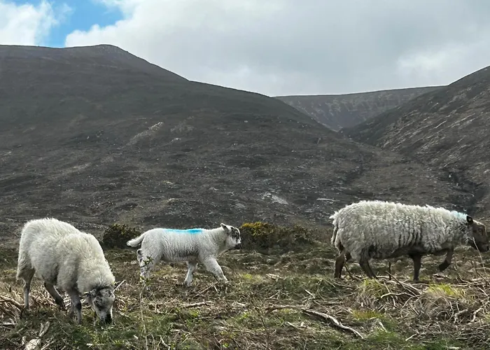 Atlantic Sea View 公寓