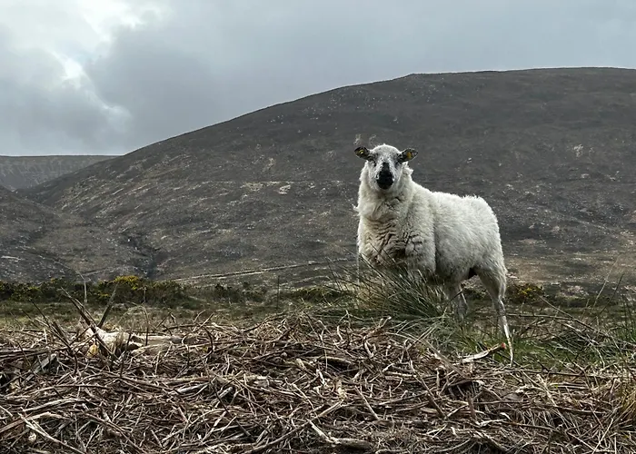 Atlantic Sea View 公寓 *
