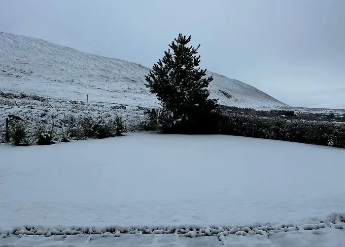 Atlantic Sea View 特拉利